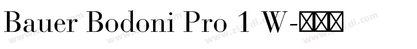 Bauer Bodoni Pro 1 W字体转换